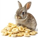Herbal Pets - Chipsy naturalne Banan 75g