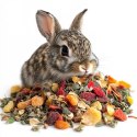 Herbal Pets - Karma Ziołowo-Owocowa dla Szynszyli 150g