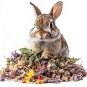 Herbal Pets - Zioła Podstawowe dla Królika 125g