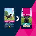 EUKANUBA Adult Large rich in chicken 15kg EUKANUBA