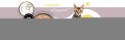 3Coty TURKEY + GOOSE for Kittens 180g 3coty