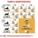 ROYAL CANIN Persian Adult - karma dla kota rasy pers - 2kg Royal Canin