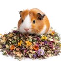Herbal Pets - Świnkoziółka pokarm dla świnki morskiej 800g