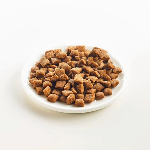 KATTOVIT Urinary - tuńczyk 4kg KATTOVIT
