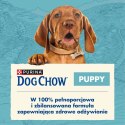 PURINA DOG CHOW Puppy Lamb - sucha karma dla szczeniąt wszystkich ras - 14 kg PURINA NESTLE