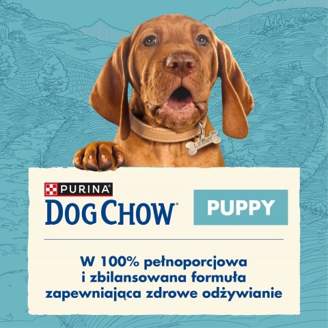 PURINA DOG CHOW Puppy Lamb - sucha karma dla szczeniąt wszystkich ras - 14 kg PURINA NESTLE