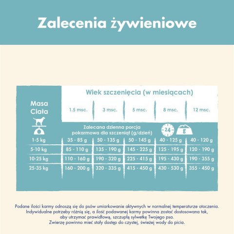 PURINA DOG CHOW Puppy Lamb - sucha karma dla szczeniąt wszystkich ras - 14 kg PURINA NESTLE