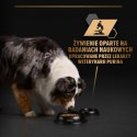 PURINA PRO PLAN ADULT Dog Indyk w galarecie 400gr PURINA NESTLE