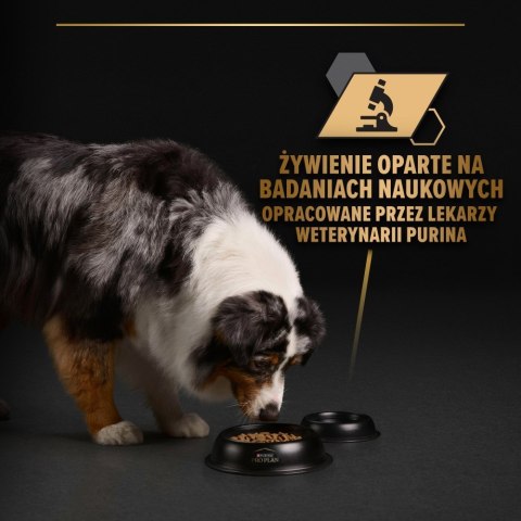 PURINA PRO PLAN ADULT Dog Indyk w galarecie 400gr PURINA NESTLE