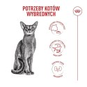 ROYAL CANIN FHN Cat Exigent Fussy 4kg Royal Canin