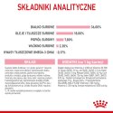 ROYAL CANIN Kitten 36 - sucha karma dla kota - 2 kg Royal Canin