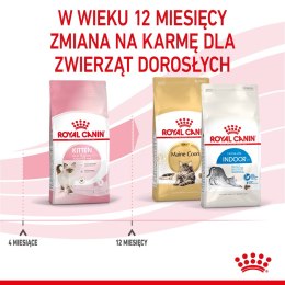 ROYAL CANIN Kitten 36 - sucha karma dla kota - 2 kg Royal Canin