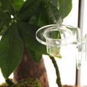 Terrario Gecko Bar Dish - miseczka zapasowa 30ml