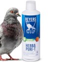 Beyers Herba Puri-T 400ml - regeneracja po chorobach i lotach