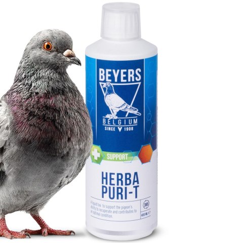 Beyers Herba Puri-T 400ml - regeneracja po chorobach i lotach