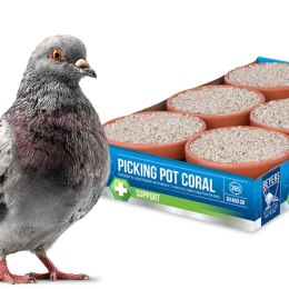 Beyers Picking Pot Coral 5+1 - kostki mineralne dla gołębi