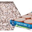 Beyers Picking Pot Coral 5+1 - kostki mineralne dla gołębi
