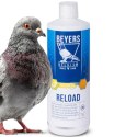 Beyers Reload 1000ml - koncentrat regeneracyjny