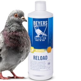 Beyers Reload 1000ml - koncentrat regeneracyjny
