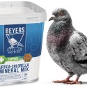 Beyers Urtica-Chlorella Mix 5kg - mieszanka grit, pokrzywa, muszle morskie, algi, nasiona oleiste i białko