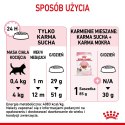 ROYAL CANIN Kitten 36 - sucha karma dla kota - 2 kg Royal Canin