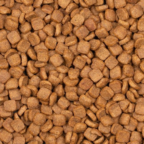 Voskes Adlut Sterilized Chicken 7kg - karma dla kotów wysterylizowanych Voskes