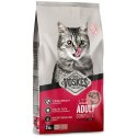 Voskes Adult Salmon - sucha karma dla dorosłych kotów z łososiem 2kg Voskes