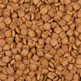 Voskes Kitten Chicken 7kg - karma dla kociąt Voskes