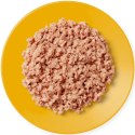 APPLAWS Natural Cat Food Kitten Kurczak - mokra karma dla kota - 70g Applaws