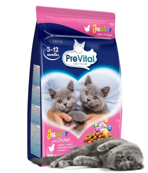 PREVITAL kurczak karma sucha karma kocięta 0,95kg PREVITAL