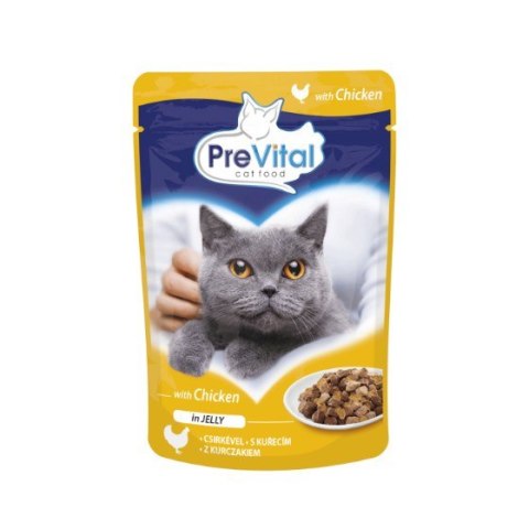 PREVITAL kurczak w galaretce dla kotów 100g PREVITAL