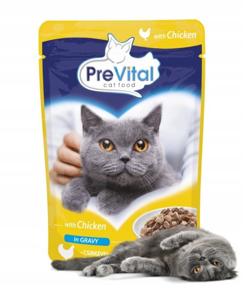 PREVITAL kurczak w sosie dla kotów 100g PREVITAL