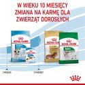 Royal Canin Puppy Mini SHN - sucha karma dla szczeniąt - 4 kg Royal Canin