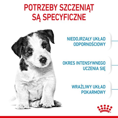 Royal Canin Puppy Mini SHN - sucha karma dla szczeniąt - 4 kg Royal Canin