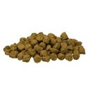 BOSCH Mini Light 2,5kg