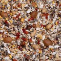 Deli Nature Birdelicious Exquisit Nuts 750g - uzupełnienie pokarmu dla papug