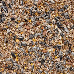 Deli Nature WildBird Mix 1kg - bogata mieszanka dla ptaków dzikich