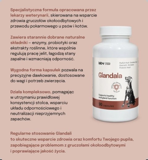 Lab-v Glandala Wsparcie Gruczołów Okołoodbytowych i Przewodu Pokarmowego 90 Kapsułek