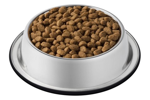 Purina Cat Chow Sterilised Bogata w Kurczaka 1,5kg + 2 Saszetki Gratis