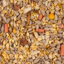 Deli Nature Booster Mix 850g - pokarm z witaminami dla ptaków zimujących