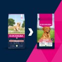 EUKANUBA Senior Large Lamb and Rice 12kg EUKANUBA