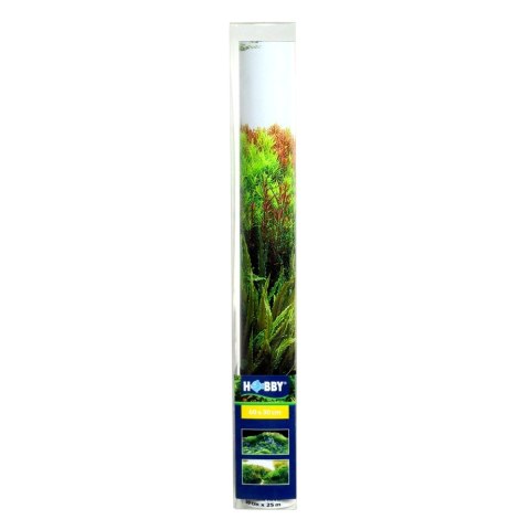 HOBBY Tło do akwarium Fotorückwandzuschnitt 'Planted River/Green 60x30 (31043)