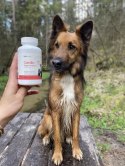 Lab-v Cardio Regeneration 90 kapsułek - wsparcie serca dla psów i kotów