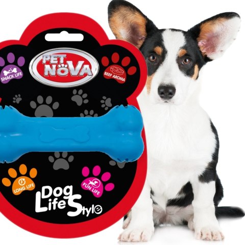 Pet Nova zabawka - kość na przysmaki z aromatem wołowiny niebieska 11cm