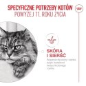 ROYAL CANIN FHN Cat Ageing 11+ 4kg Royal Canin