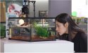 Repti-Zoo Simple Habitat - terrarium 31x21x30