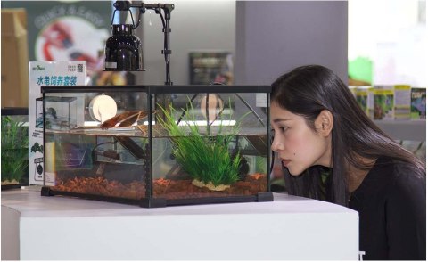 Repti-Zoo Simple Habitat - terrarium 31x21x30