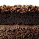 Aventerra Sweden Tropica Peat Soil 4l - torf drobny do terrarium
