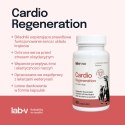 Lab-v Cardio Regeneration Wsparcie Prawidłowego Funkcjonowania Pracy Serca I Układu Krążenia Dla Psów I Kotów 45 Kapsułek