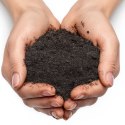 Terrario Greeno Terris 5l - ziemia dla roślin tropikalnych do terrarium